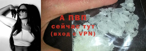 прущая мука Корсаков